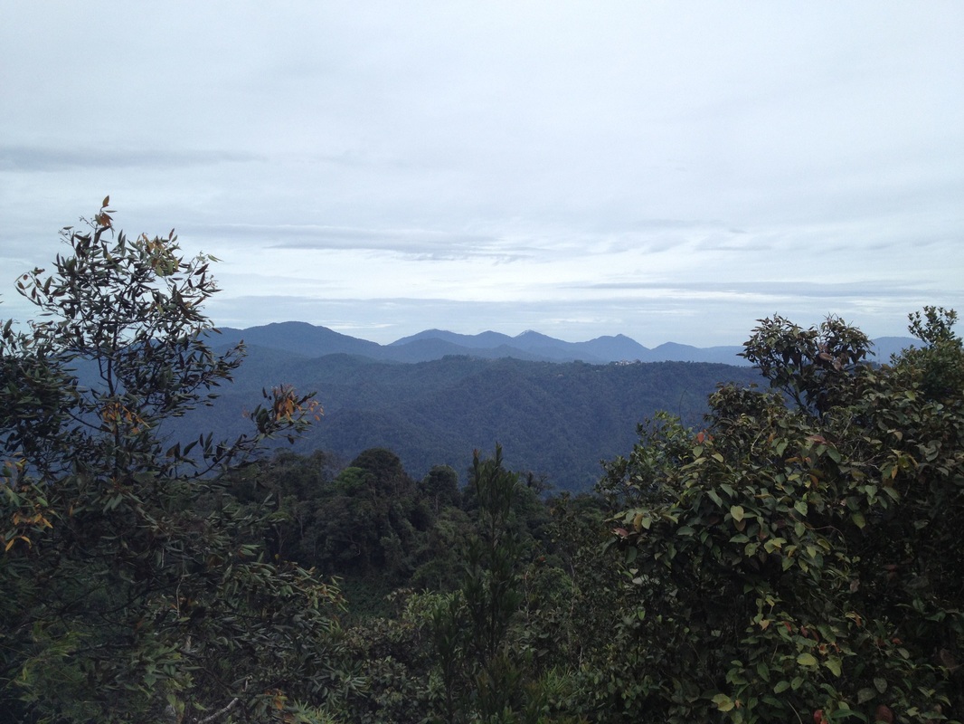 A fantastic view of the Titiwangsa peaks to the north from Ulu Semangkok peak. The leftmost high peak is Pine Tree Hill. The shorter peak to the left of it is Twin Peak. The row of peaks to the right of Twin Peak are the Semangkok peaks, with Gunung Semangkok being the (probably) third one. The buildings of Fraser's Hill can just be seen at the top of the lower hills in the middle of the picture