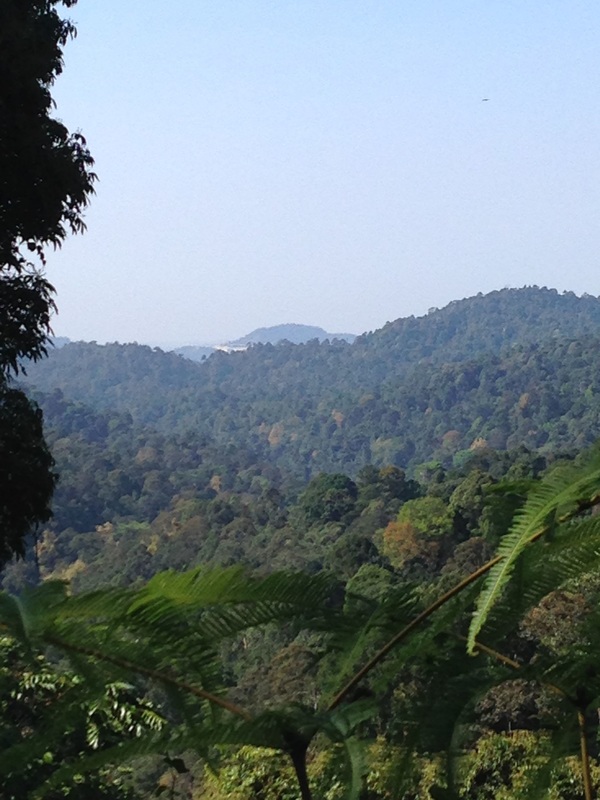 View of a mountain peak beyond the mountain in Ampang Forest Reserve, with signs of some mountain cutting on the side.