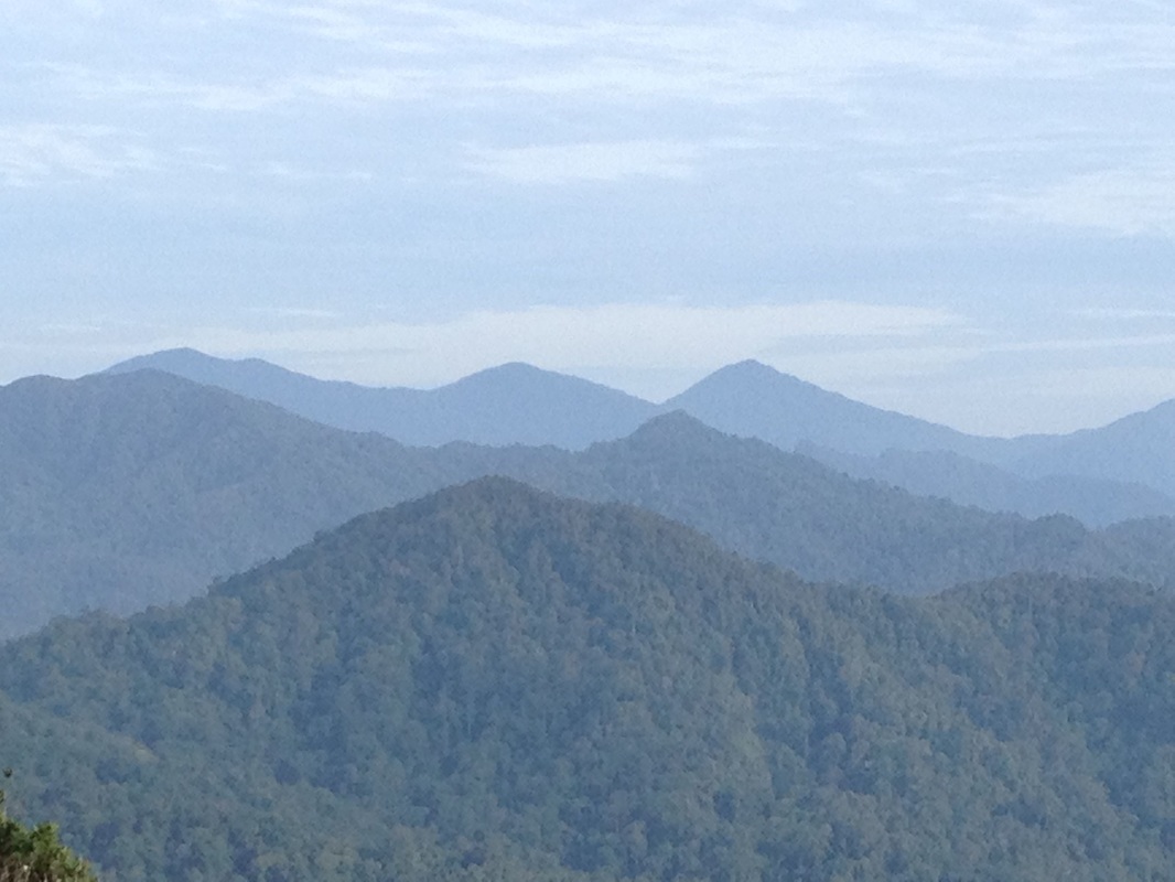 Beautiful view to the west from near the start of the trail. The three tall peaks in the background are the peaks of the Titiwangsa mountain range separating Selangor from Pahang. The middle peak is Gunung Semangkok, the tallest mountain in Selangor