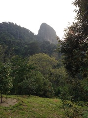 Tabur Extreme standing majestically, seen from the farm