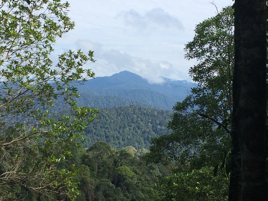 Mountains of the Keledang range further to the north. The peak in the rear centre is Gunung Peninjau, the highest peak of the Keledang range