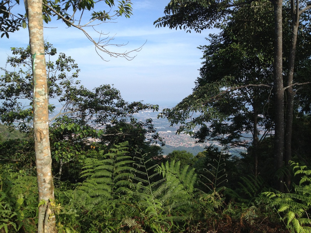 View from the peak of Seremban town