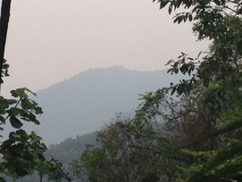 A view of the peaks of Bukit Penda just off to the left of the trail at about the 0.8km point