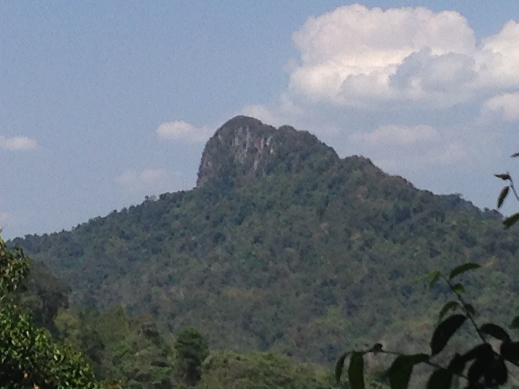 View of Bukit Tabur Extreme, sighted on the way back to trailhead