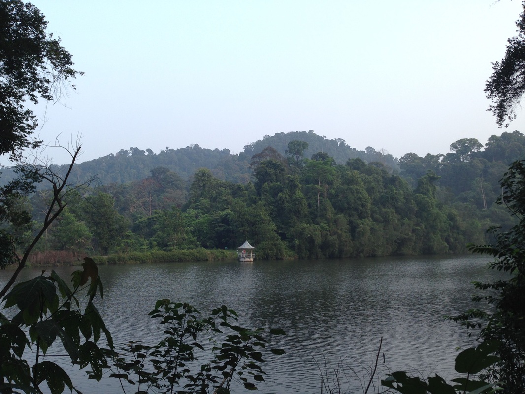 Old Ampang Reservoir