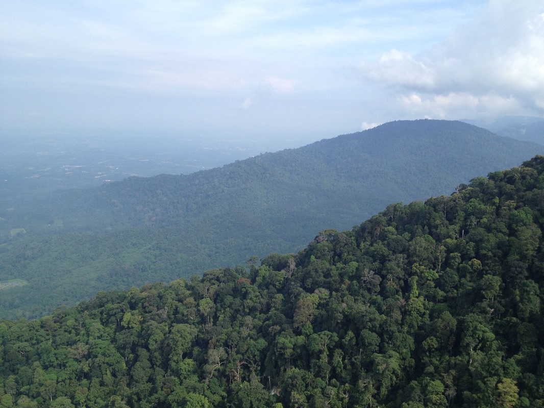 View to the north-west in the direction of Rembau town (not visible due to the hazy condition). The peak on the right side is Bukit Besar, a 650m peak just north of Gunung Rembau
