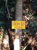 Signboard at the beginning of the trail marking the Angsi Forest Reserve