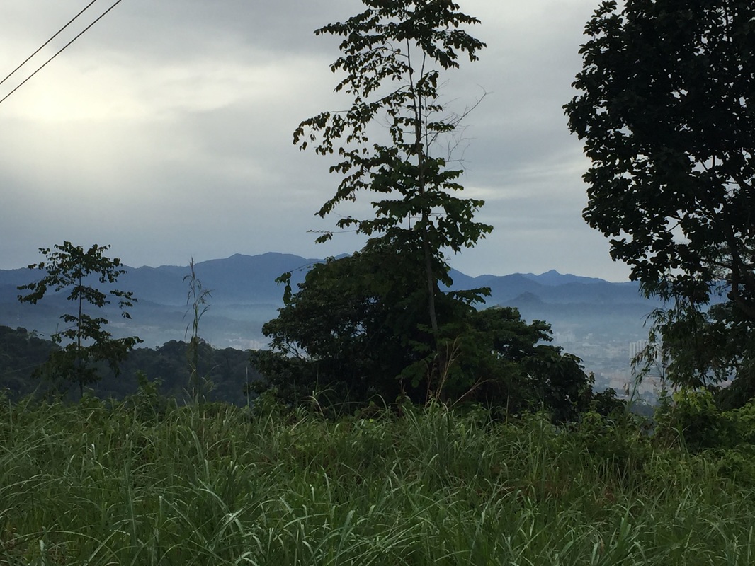 View to the east from the High tension wire reserve. Good view of the central mountain range, visible are Gunung Repin (to the left of the tree), and in the far background, Gunung Besar Hantu (the saw-tooth shaped peak to the right of the tree), the highest mountain in Negeri Sembilan