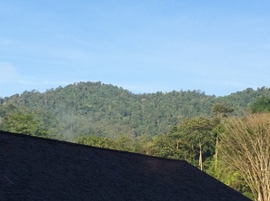 Bukit Lagong peak seen from the east