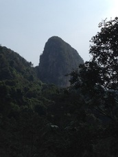 The pinnacle of Tabur Extreme seen looming above the forest floor