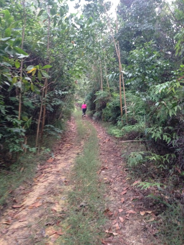 Condition of the trail at about the 0.5km point