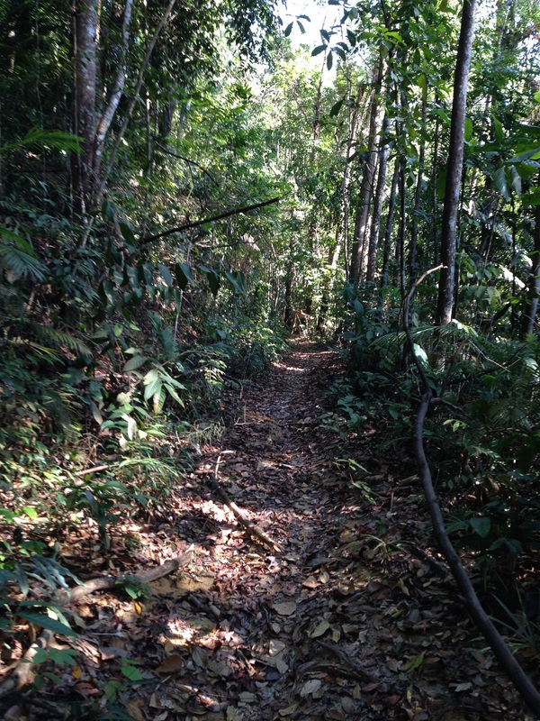 Condition of the trail that lead north from Kemensah
