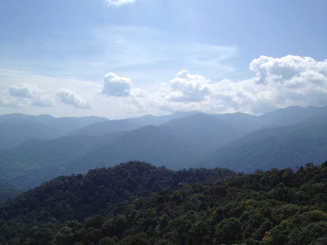 View of the north east from the peak of Bukit Kutu