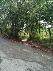 This is the entrance to the jungle path. It's on the right side of the road, exactly opposite the other entrance