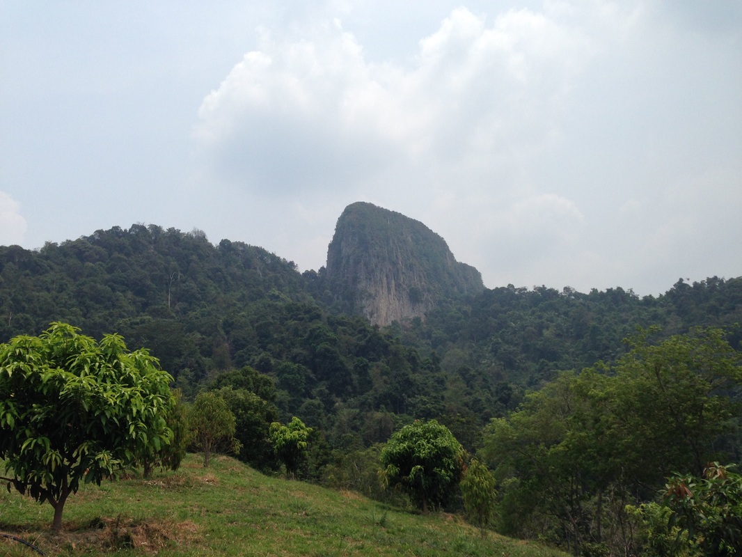 Another picture of the Tabur Extreme taken from the farm