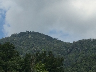 Close-up of Keledang peak